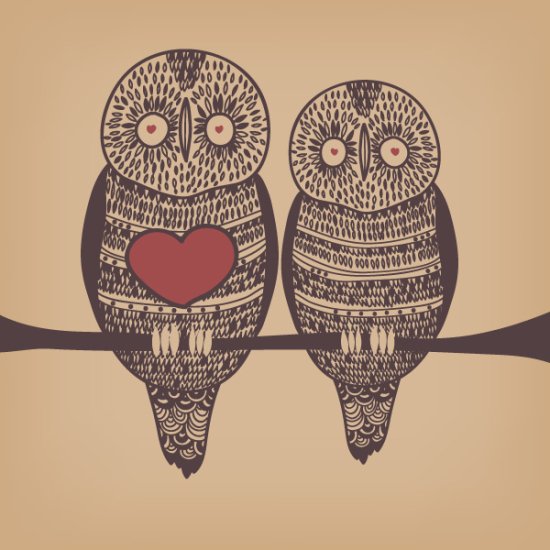 Loving Owls